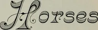 An illustration from Specimens of type, borders, ornaments, brass rules and cuts, etc. : catalogue of printing machinery and materials, wood goods, etc (1897)