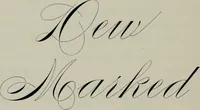 An illustration from Specimens of type, borders, ornaments, brass rules and cuts, etc. : catalogue of printing machinery and materials, wood goods, etc (1897)