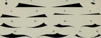 An illustration from Specimens of type, borders, ornaments, brass rules and cuts, etc. : catalogue of printing machinery and materials, wood goods, etc (1897)