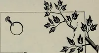 An illustration from Specimens of type, borders, ornaments, brass rules and cuts, etc. : catalogue of printing machinery and materials, wood goods, etc (1897)