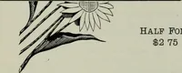 An illustration from Specimens of type, borders, ornaments, brass rules and cuts, etc. : catalogue of printing machinery and materials, wood goods, etc (1897)