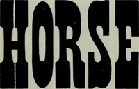 An illustration from Specimens of type, borders, ornaments, brass rules and cuts, etc. : catalogue of printing machinery and materials, wood goods, etc (1897)