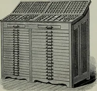 An illustration from Specimens of type, borders, ornaments, brass rules and cuts, etc. : catalogue of printing machinery and materials, wood goods, etc (1897)