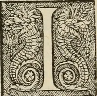 Picture 40 of 40 from Spectaculorvm in svsceptione Philippi hisp. prin. divi Caroli V. cæs. f. an. M.D.XLIX, Antverpiæ æditorvm, mirificvs apparatvs (1550), leaf 117