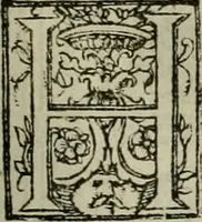 Picture 26 of 40 from Spectaculorvm in svsceptione Philippi hisp. prin. divi Caroli V. cæs. f. an. M.D.XLIX, Antverpiæ æditorvm, mirificvs apparatvs (1550), leaf 84