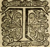 An illustration from Sion's prospect in its first view : presented in a summary of divine truths, consenting with the faith profess'd by the Church of England .. (1651)