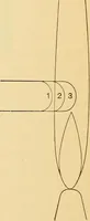 An illustration from Spectrum lines as light sources in polariscopic measurements (1906)