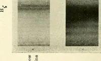 An illustration from The spectroscope and its work (1910)
