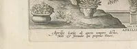 Picture 6 of 12 from Speculum diuersarum imaginum speculatiuarum (1638), leaf 141