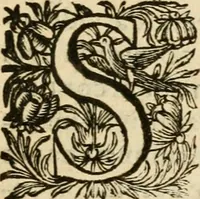 An illustration from Speculum peccatorum aspirantium ad solidam vitae emendationem, siue, Admiranda S. Augustini conversio : historica eiusdem narratione, discursibus moralibus, et emblematis adornata : cum indice concionum per quatuor octauas eiusdem diui et dominicos dies (1637)