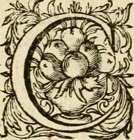 An illustration from Speculum peccatorum aspirantium ad solidam vitae emendationem, siue, Admiranda S. Augustini conversio : historica eiusdem narratione, discursibus moralibus, et emblematis adornata : cum indice concionum per quatuor octauas eiusdem diui et dominicos dies (1637)