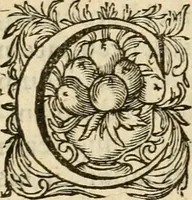 An illustration from Speculum peccatorum aspirantium ad solidam vitae emendationem, siue, Admiranda S. Augustini conversio : historica eiusdem narratione, discursibus moralibus, et emblematis adornata : cum indice concionum per quatuor octauas eiusdem diui et dominicos dies (1637)