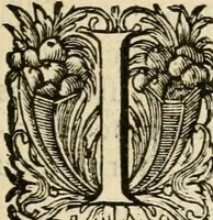 An illustration from Speculum peccatorum aspirantium ad solidam vitae emendationem, siue, Admiranda S. Augustini conversio : historica eiusdem narratione, discursibus moralibus, et emblematis adornata : cum indice concionum per quatuor octauas eiusdem diui et dominicos dies (1637)