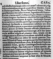 Picture 3 of 9 from Sphaera civitatis (1588), leaf 308