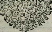 An illustration from Spiegel sonder bedrogh ofte kenisse syns selfs : vor oogen gestelt aen alle deught-minnende persoonen (1733)