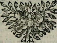 An illustration from Spiegel sonder bedrogh ofte kenisse syns selfs : vor oogen gestelt aen alle deught-minnende persoonen (1733)
