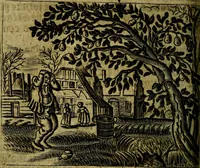 Picture 33 of 87 from Spiegel van den Ouden en Nieuwen Tydt, : bestaande uyt spreekwoorden, ontleent van de voorige en jegenwoordige eeuwe, verlustiget door meenigte van sinnebeelden, met gedichten en prenten daar op passende. : Vermeerdert met groote meenigte van spreekwoorden, door geheel het werk, met byvoeginge van nieuwe platen eu gedichten : alles in de nederlandsche tale ten gerieve van de liefhebbers der zelver, (1690), leaf 119