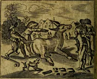 Picture 41 of 87 from Spiegel van den Ouden en Nieuwen Tydt, : bestaande uyt spreekwoorden, ontleent van de voorige en jegenwoordige eeuwe, verlustiget door meenigte van sinnebeelden, met gedichten en prenten daar op passende. : Vermeerdert met groote meenigte van spreekwoorden, door geheel het werk, met byvoeginge van nieuwe platen eu gedichten : alles in de nederlandsche tale ten gerieve van de liefhebbers der zelver, (1690), leaf 169
