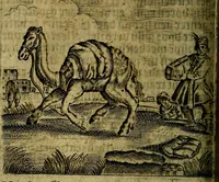 Picture 45 of 87 from Spiegel van den Ouden en Nieuwen Tydt, : bestaande uyt spreekwoorden, ontleent van de voorige en jegenwoordige eeuwe, verlustiget door meenigte van sinnebeelden, met gedichten en prenten daar op passende. : Vermeerdert met groote meenigte van spreekwoorden, door geheel het werk, met byvoeginge van nieuwe platen eu gedichten : alles in de nederlandsche tale ten gerieve van de liefhebbers der zelver, (1690), leaf 181