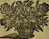 Picture 6 of 87 from Spiegel van den Ouden en Nieuwen Tydt, : bestaande uyt spreekwoorden, ontleent van de voorige en jegenwoordige eeuwe, verlustiget door meenigte van sinnebeelden, met gedichten en prenten daar op passende. : Vermeerdert met groote meenigte van spreekwoorden, door geheel het werk, met byvoeginge van nieuwe platen eu gedichten : alles in de nederlandsche tale ten gerieve van de liefhebbers der zelver, (1690), leaf 19