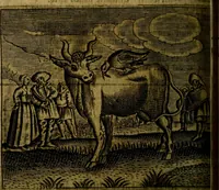 Picture 58 of 87 from Spiegel van den Ouden en Nieuwen Tydt, : bestaande uyt spreekwoorden, ontleent van de voorige en jegenwoordige eeuwe, verlustiget door meenigte van sinnebeelden, met gedichten en prenten daar op passende. : Vermeerdert met groote meenigte van spreekwoorden, door geheel het werk, met byvoeginge van nieuwe platen eu gedichten : alles in de nederlandsche tale ten gerieve van de liefhebbers der zelver, (1690), leaf 241
