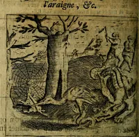 Picture 65 of 87 from Spiegel van den Ouden en Nieuwen Tydt, : bestaande uyt spreekwoorden, ontleent van de voorige en jegenwoordige eeuwe, verlustiget door meenigte van sinnebeelden, met gedichten en prenten daar op passende. : Vermeerdert met groote meenigte van spreekwoorden, door geheel het werk, met byvoeginge van nieuwe platen eu gedichten : alles in de nederlandsche tale ten gerieve van de liefhebbers der zelver, (1690), leaf 255