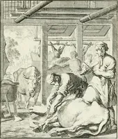 Picture 43 of 100 from Spiegel van 't menschelyk bedryf : vertonende hondert-verscheyde ambagten zeer konstig afgebeeld en met zeer zinryke spreuken en stigtelyke versen verrykt (1694), leaf 94