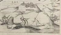 An illustration from Spieghel der Australische navigatie, (1622)