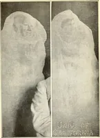 Picture 4 of 6 from Spirit intercourse, its theory and practice (1917), leaf 122
