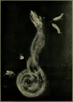 Picture 2 of 5 from Spiritism and common sense (1922), leaf 80