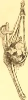 An illustration from The spirit of peace (1912)