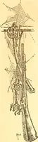 An illustration from The spirit of peace (1912)