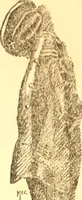An illustration from The spirit of peace (1912)