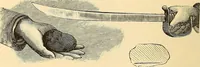 Picture 53 of 73 from Spirit slate writing and kindred phenomena (1898), leaf 133