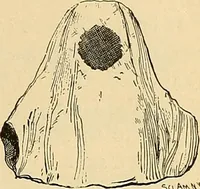 Picture 55 of 73 from Spirit slate writing and kindred phenomena (1898), leaf 136
