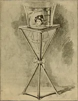 Picture 65 of 73 from Spirit slate writing and kindred phenomena (1898), leaf 150