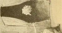 An illustration from Spirit slate writing and kindred phenomena (1898)