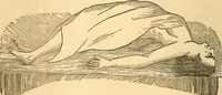 An illustration from Spiritualism and allied causes and conditions of nervous derangement (1876)
