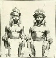 An illustration from Spiritualism among civilised and savage races; a study in anthropology (1921)