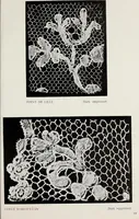 An illustration from Spitzen und ihre Charakteristik (1907)