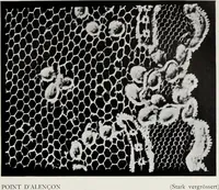 Picture 20 of 26 from Spitzen und ihre Charakteristik (1907), leaf 124