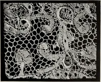 An illustration from Spitzen und ihre Charakteristik (1907)