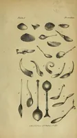 An illustration from The spoon (1844)