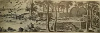 Picture 95 of 241 from Sport in art; an iconography of sport during four hundred years from the beginning of the fifteenth of the end of the eighteenth centuries (1913), leaf 188