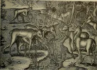 Picture 104 of 241 from Sport in art; an iconography of sport during four hundred years from the beginning of the fifteenth of the end of the eighteenth centuries (1913), leaf 198