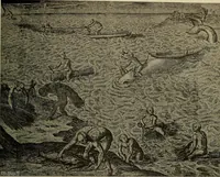 Picture 106 of 241 from Sport in art; an iconography of sport during four hundred years from the beginning of the fifteenth of the end of the eighteenth centuries (1913), leaf 200