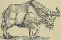 Picture 119 of 241 from Sport in art; an iconography of sport during four hundred years from the beginning of the fifteenth of the end of the eighteenth centuries (1913), leaf 220