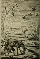 Picture 148 of 241 from Sport in art; an iconography of sport during four hundred years from the beginning of the fifteenth of the end of the eighteenth centuries (1913), leaf 257