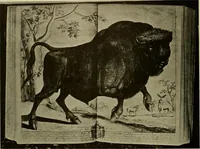 Picture 159 of 241 from Sport in art; an iconography of sport during four hundred years from the beginning of the fifteenth of the end of the eighteenth centuries (1913), leaf 275