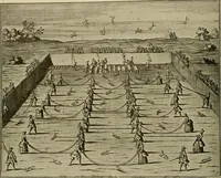 Picture 167 of 241 from Sport in art; an iconography of sport during four hundred years from the beginning of the fifteenth of the end of the eighteenth centuries (1913), leaf 283